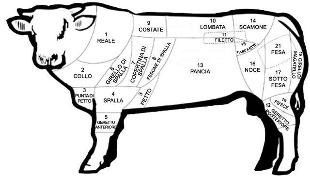 Tagli anatomici di carne bovina